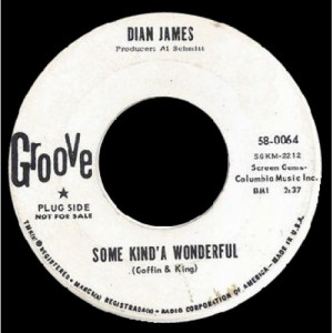 Dian James - Some Kind'a Wonderful / All You Have To Do Is Ask [Vinyl] - 7 Inch 45 RPM - Vinyl - 7"