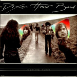 Dixon House Band - Fighting Alone [Vinyl] - LP