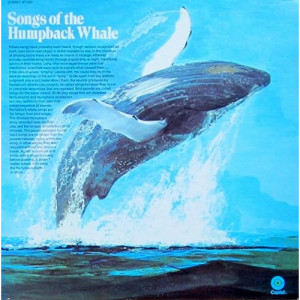 Humpback Whale - Songs Of The Humpback Whale [Vinyl] - LP - Vinyl - LP