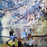 Paul McCartney & Wings - Wild Life [Vinyl] - LP