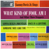 Sammy Davis Jr. - What Kind of Fool Am I [Record] - LP