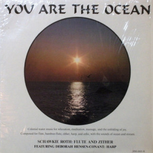 Schawkie Roth - You Are The Ocean - LP - Vinyl - LP