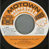 Stevie Wonder - You Are The Sunshine Of My Life / Higher Ground [Vinyl] - 7 Inch 45 RPM