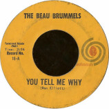 The Beau Brummels - You Tell Me Why / I Want You [Vinyl] - 7 Inch 45 RPM