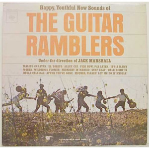 The Guitar Ramblers - Happy Youthful Sounds Of The Guitar Ramblers - LP - Vinyl - LP