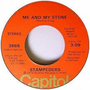 The Stampeders - Me And My Stone / Good Bye Good Bye [Vinyl] - 7 Inch 45 RPM - Vinyl - 7"