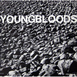 The Youngbloods - Rock Festival - LP
