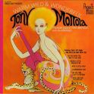 Tony Mottola with the Groovie - Warm Wild & Wonderful [Vinyl] - LP - Vinyl - LP