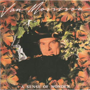 Van Morrison - A Sense Of Wonder [Audio CD] - Audio CD - CD - Album