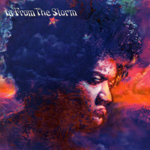 Various Artists - In From The Storm - The Music Of Jimi Hendrix [Audio CD] - Audio CD - CD - Album
