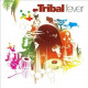 Tribal Fever