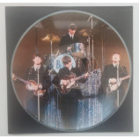 Beatles - Live At The Judo Arena - LP Picture Disc