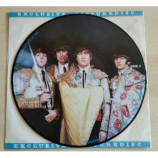 Beatles - Timeless - LP Picture Disc