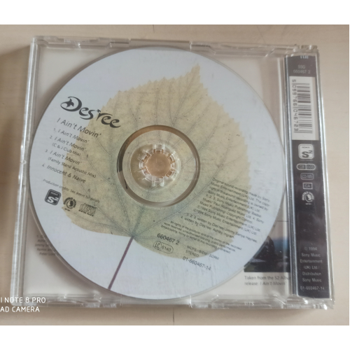 Des'ree - I Ain't Movin' - CD Maxi Single - CD - Single
