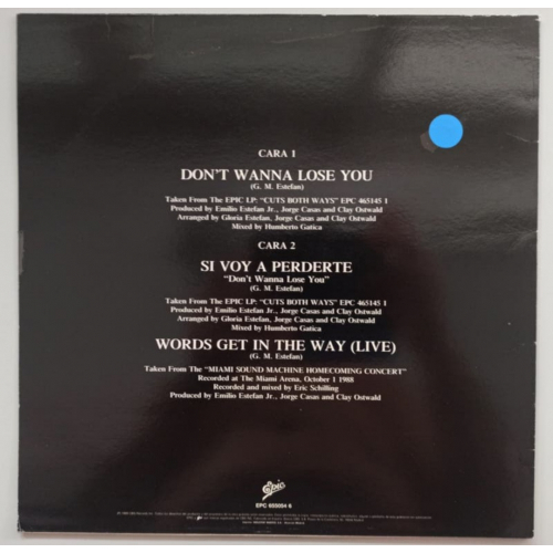 Gloria Estefan - Don't Wanna Lose You - 12 - Vinyl - 12" 