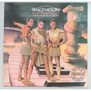 Imagination - In The Heat Of The Night - 12 - Vinyl - 12" 