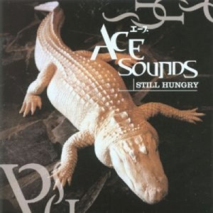 Ace Sounds - Still Hungry Skunk Anansie ACE CD - CD - Album