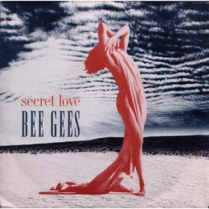 Bee Gees - Secret Love 7
