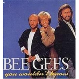 Bee Gees - You Wouldn't Know CD - CD - Album