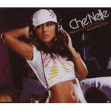 Che'Nelle - I Fell In Love With The Dj PROMO CDS