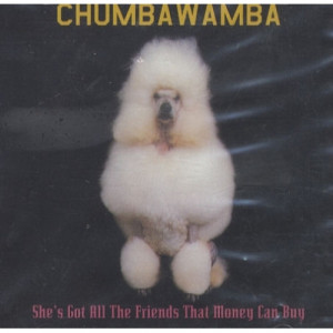 Chumbawamba - She's Got All The Friends That Money Can Buy PROMO - CD - Single
