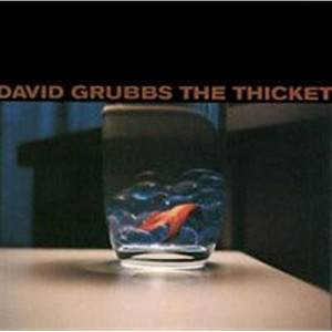 David Grubbs - The Thicket CD - CD - Album