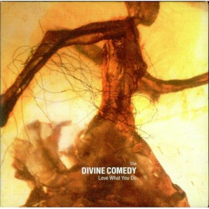 Divine Comedy - love what you do PROMO CDS - CD - Album