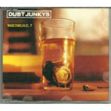 Dust Junkys - What Time Is It? CDS