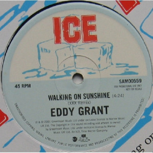 Eddy Grant - Walking On Sunshine (XXX Remix) 12