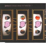 James - I Know What I'm Here For PROMO CDS