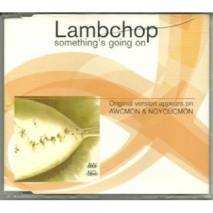 Lambchop - something's going on PROMO CDS - CD - Album