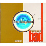 Ocean Colour Scene - You've Got It Bad PROMO CDS