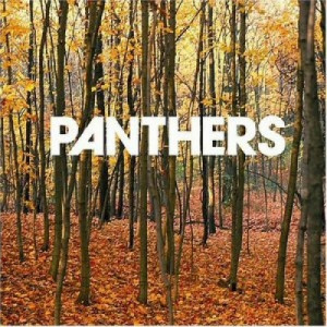 Panthers - Things Are Strange CD - CD - Album