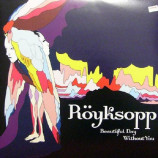Royksopp - Beautiful Day Without You 12