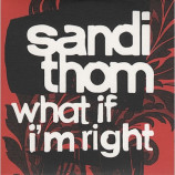 Sandi Thon - What If I'm Right PROMO CDS