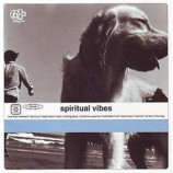 spiritual vibes - Spiritual Vibes CD