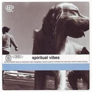 spiritual vibes - Spiritual Vibes CD - CD - Album