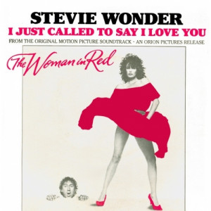 Stevie Wonder - I Just Called To Say I Love You 7
