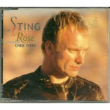 Sting - desert rose CDS