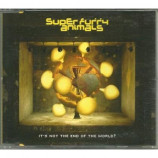 super fury animals - it's not the end of the world? CDS