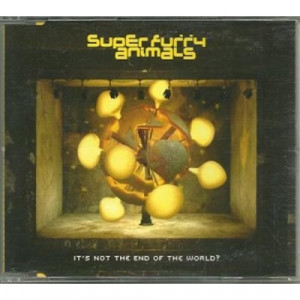 super fury animals - it's not the end of the world? CDS - CD - Single