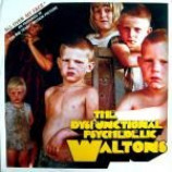 The Dysfunctional Psychedelic Waltons - All Over My Face CD