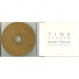 Tina Turner Featuring Barry White - In Your Wildest Dreams PROMO CDS