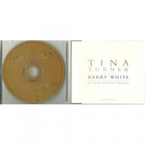 Tina Turner Featuring Barry White - In Your Wildest Dreams PROMO CDS - CD - Album