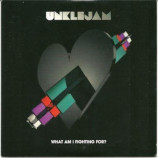 UnkleJam - What Am I Fighting For? PROMO CDS