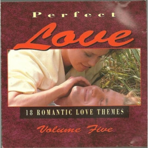 Various Artists - Perfect Love Volume 5 CD - CD - Album