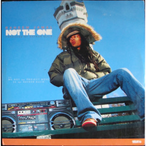  Raheem Jamal - Not The One - Vinyl - 12" 