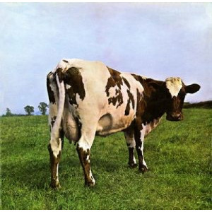 Pink Floyd  - Atom Heart Mother - Vinyl - LP