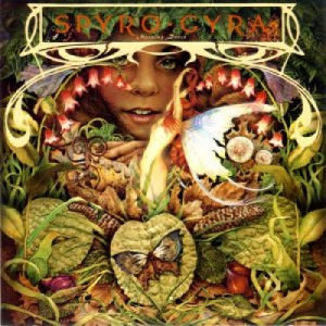 Spyro Gyra ‎ - Morning Dance - Vinyl - 7"