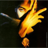 Terence Trent D'Arby  - Terence Trent D'Arby's Neither Fish Nor Flesh